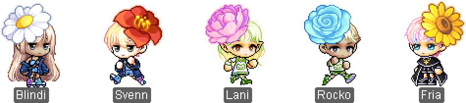 花瓣嬉戏帽惊喜盒 2月25日商城更新 冒险岛