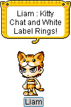 猫咪帽子 猫咪套装 金色猫咪拖鞋 猫咪聊天戒指 白标戒指 创始人特权 现金商店 冒险岛